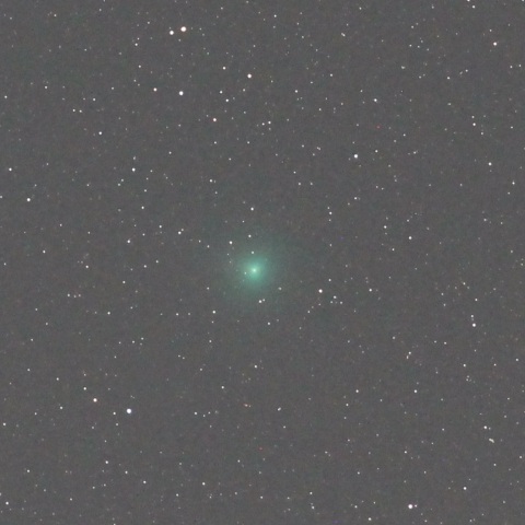 10/23 南西の空高くスワン彗星