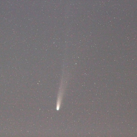 月明の中でのレモン彗星