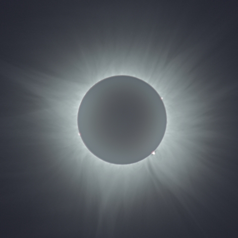 トレオン(メキシコ)コロナ