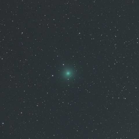 １１月７日のレモン彗星（Ｃ/２０２３ Ｈ２）