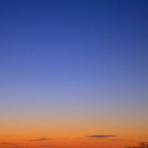 １月１０日未明の水星、金星、細い月