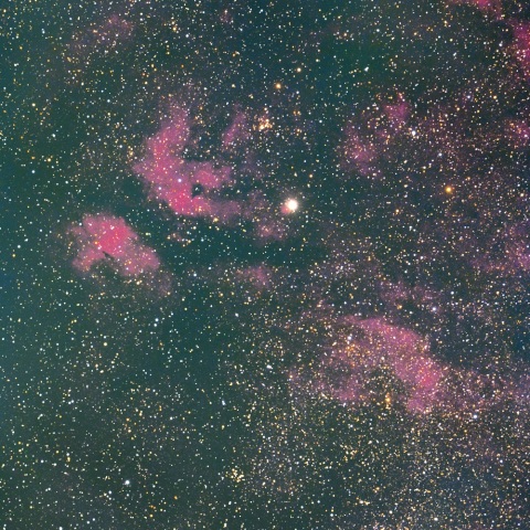 サドル付近の散光星雲とポンス・ブルックス彗星（１２Ｐ）