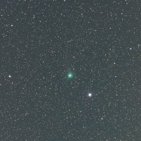 １月３０日のポンス・ブルックス彗星（１２Ｐ）