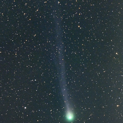 ３月４日のポンス・ブルックス彗星（１２Ｐ）