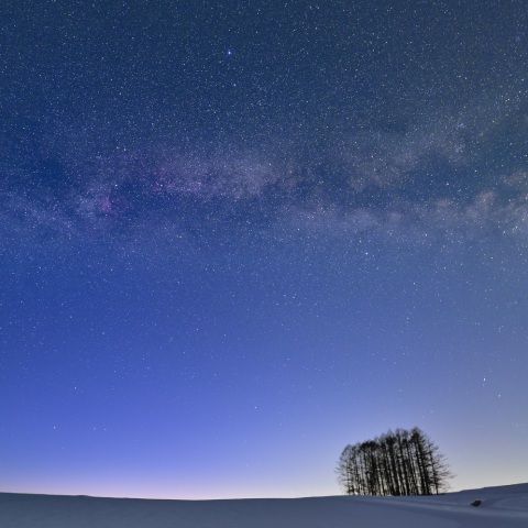 マジックアワーに輝く夏の大三角