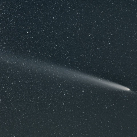 １０月２０日の紫金山・アトラス彗星（１３５ｍｍ画像）