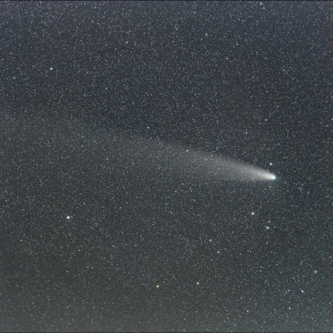 １１月３日の紫金山・アトラス彗星（３００ｍｍ画像）