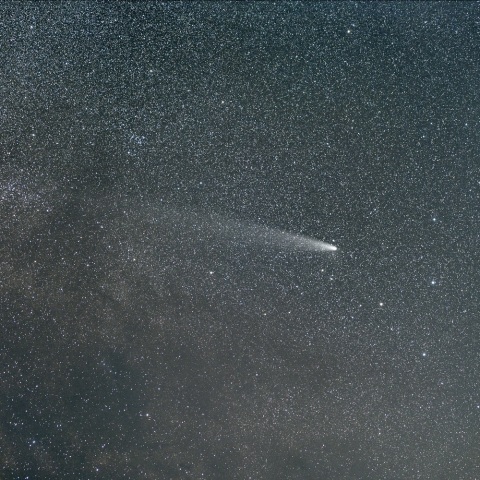 １１月３日の紫金山・アトラス彗星（１２０ｍｍ画像）