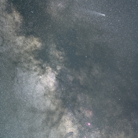 １１月３日の紫金山・アトラス彗星（５８ｍｍ画像）