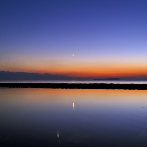 １１月４日の細い月と金星の共演