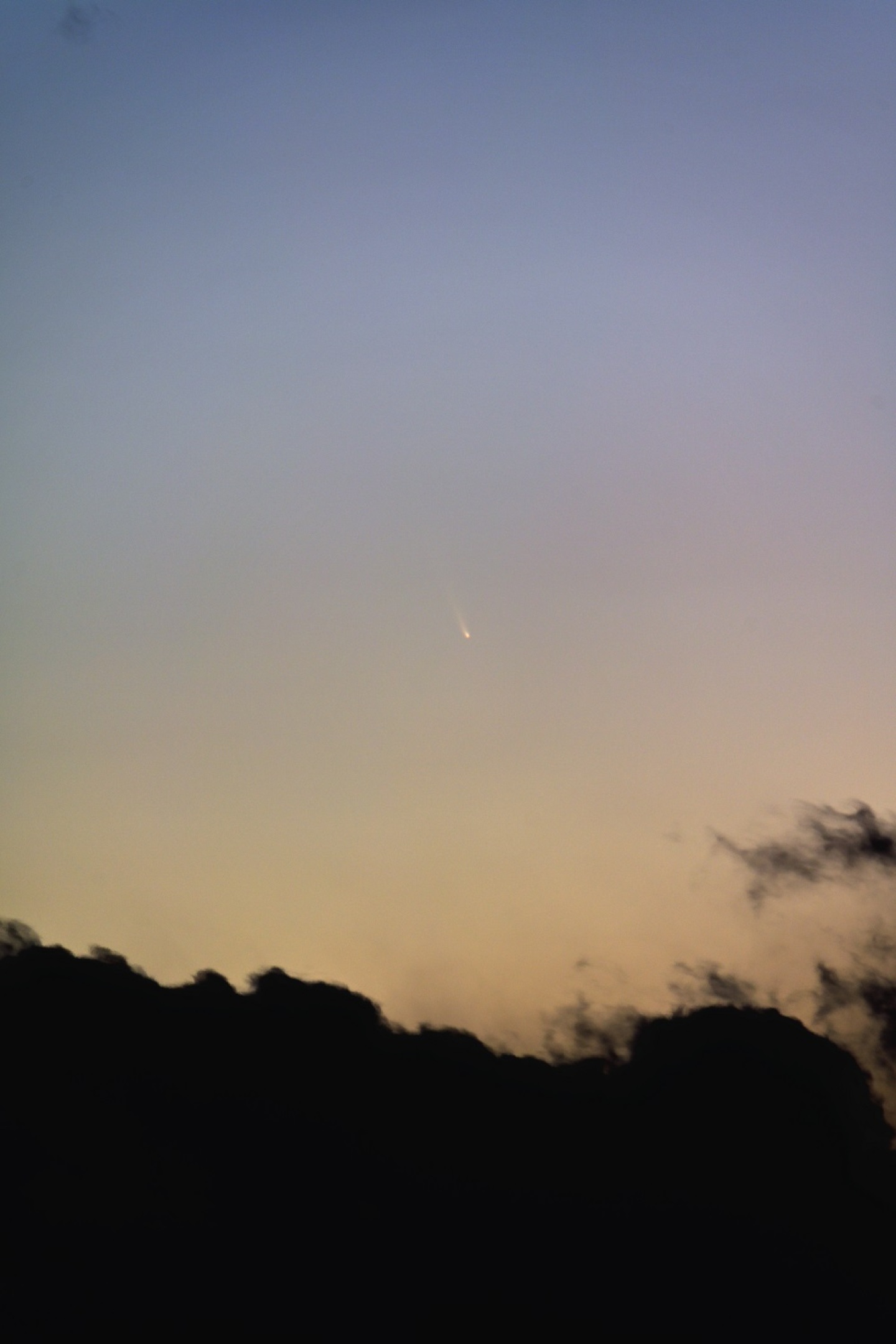 117863: 15日のアトラス彗星 （C/2024 G3）画像 by