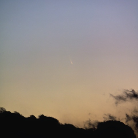 １５日のアトラス彗星 （Ｃ/２０２４ Ｇ３）画像