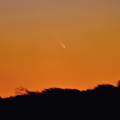 １6日のアトラス彗星 （Ｃ/２０２４ Ｇ３）画像