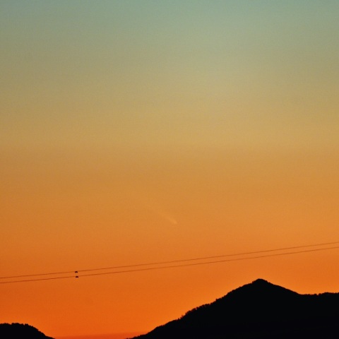 １８日のアトラス彗星 （Ｃ/２０２４ Ｇ３）画像