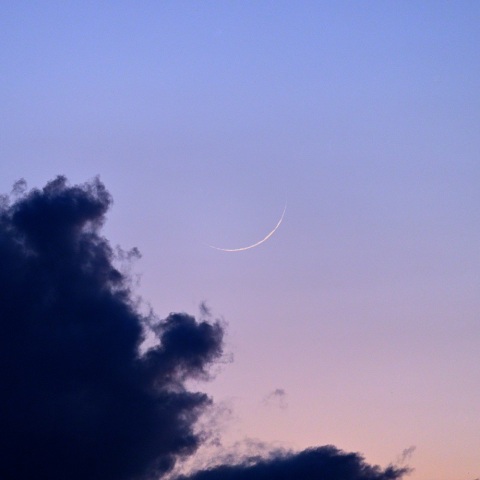 梅雨の晴れ間に輝く極細月