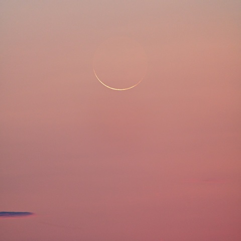 ７月２４日未明の極細月