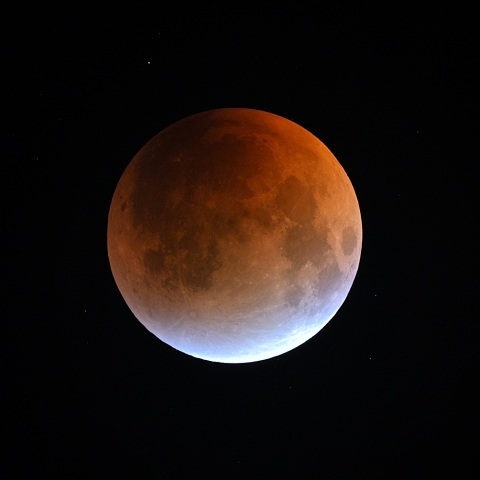 皆既直前のターコイズフリンジ