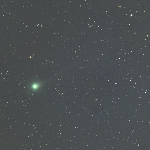 ９月２２日未明のレモン彗星 （Ｃ/２０２５ Ａ６）