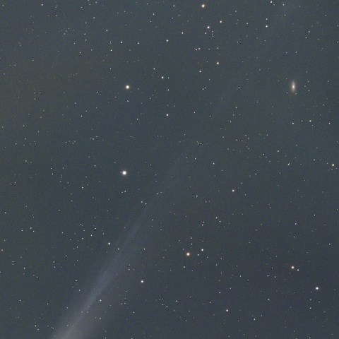 １０月１２日未明のレモン彗星 （Ｃ/２０２５ Ａ６）とＮＧＣ３６７５の共演