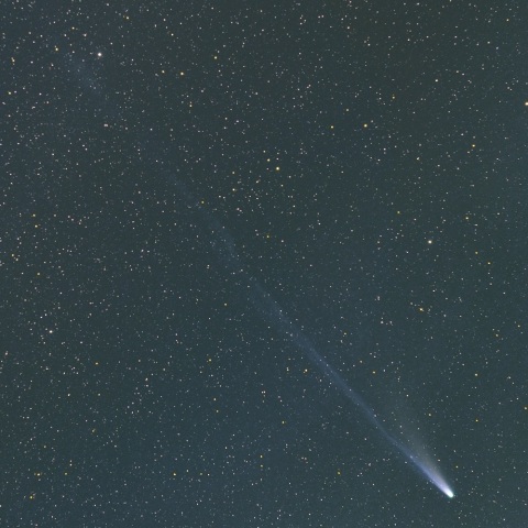 58mmで撮影したレモン彗星(10月28日)