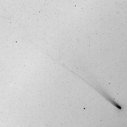 １１月１日のレモン彗星 （Ｃ/２０２５ Ａ６）