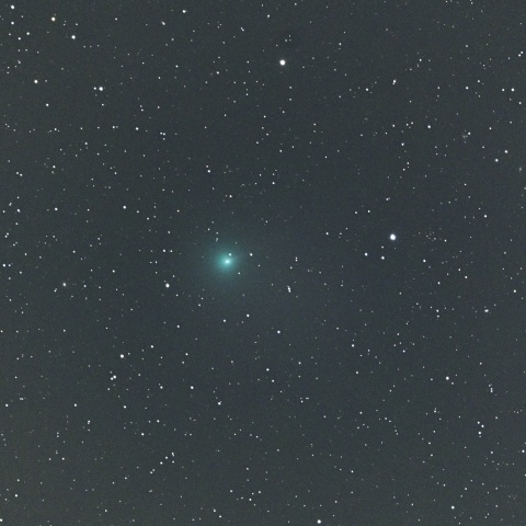 ２４Ｐ/ショーマス彗星（１２月２３日未明）