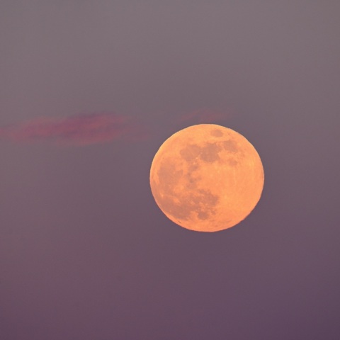 ２０２６年最初の満月は「スーパームーン」