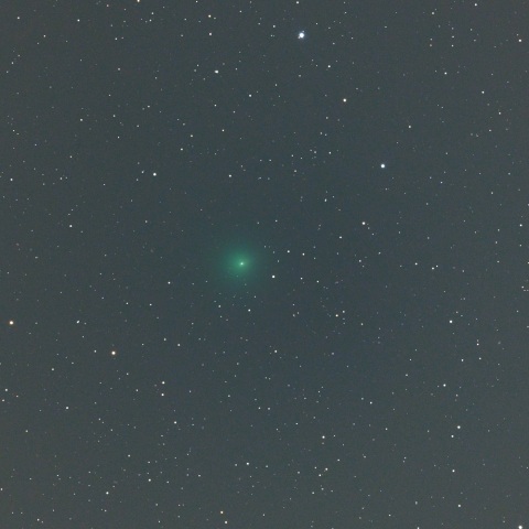 １月１７日未明の２４Ｐ/ショーマス彗星