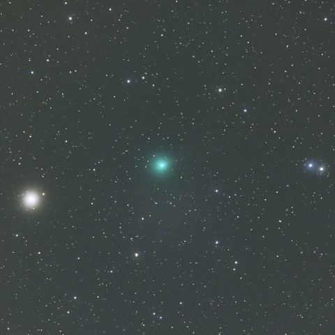 １月２３日未明の２４Ｐ/ショーマス彗星