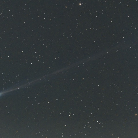 ４月９日未明のパンスターズ彗星（Ｃ/２０２５ Ｒ３）