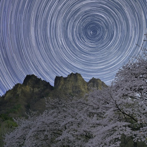 サクラ星景（妙義山と日周運動）