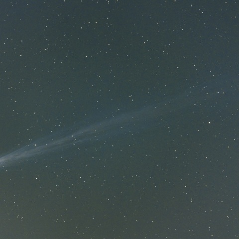 ４月１7日未明のパンスターズ彗星（Ｃ/２０２５ Ｒ３）