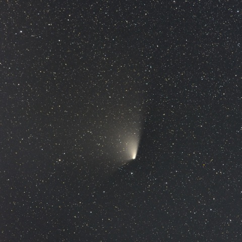 パンスターズ彗星