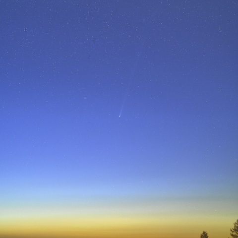 ４月１7日早朝のパンスターズ彗星（Ｃ/２０２５ Ｒ３）