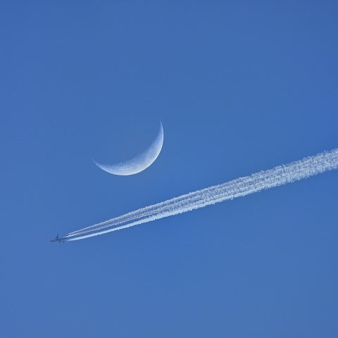 昼間の月と飛行機雲