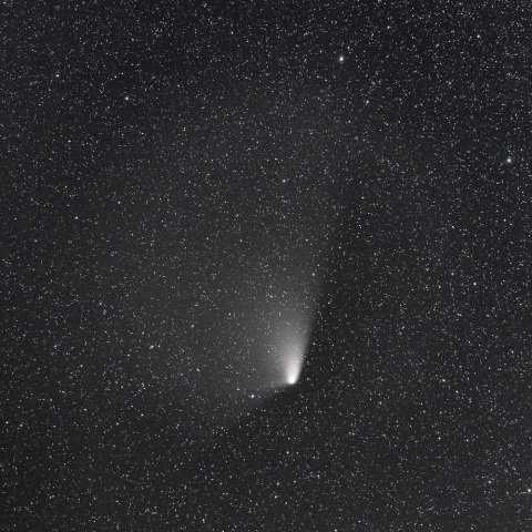 パンスターズ彗星（4月13日未明）