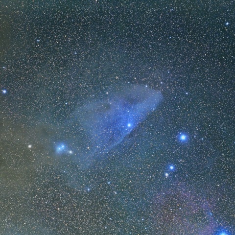 ＩＣ４５９２（青い馬頭星雲）