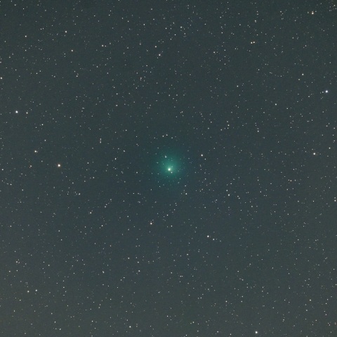7月11日の10P/テンペル第2彗星