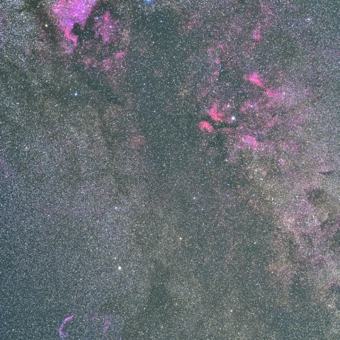はくちょう座の散光星雲（１００ｍｍ）