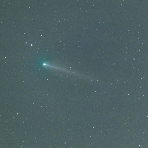 ８月１８日未明の２２０Ｐ/マクノート彗星