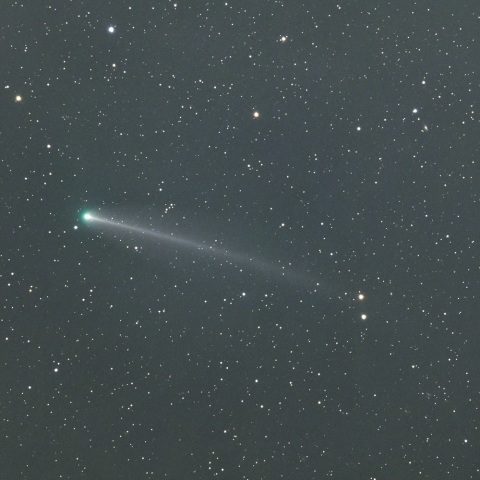 ８月２４日未明の２２０Ｐ/マクノート彗星