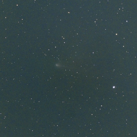 ９月１４日未明の２２０Ｐ/マクノート彗星