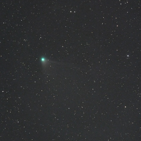 ５月１８日未明のレモン彗星（C/2012 F6 (Lemmon)）