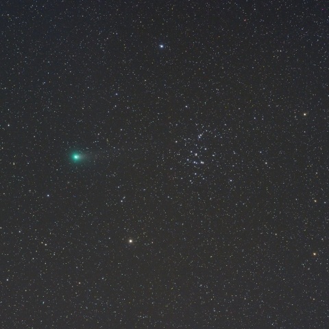 ラヴジョイ彗星＆Ｍ４４（１１月８未明）