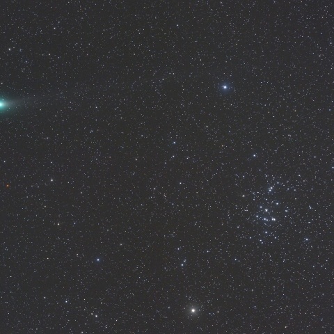 ラヴジョイ彗星＆Ｍ４４（１１月９日未明）