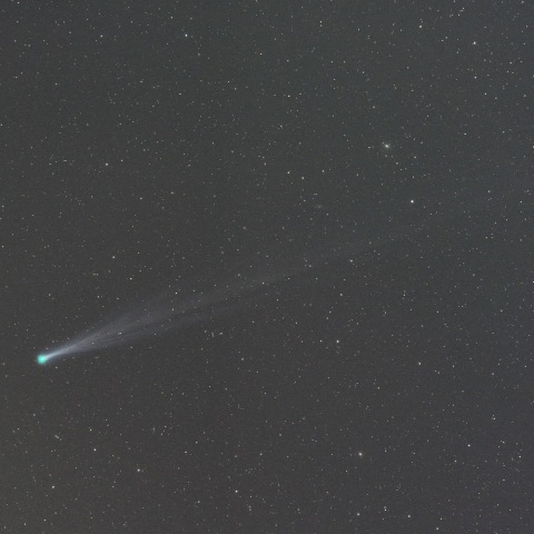 アイソン彗星（１１月１６日未明）