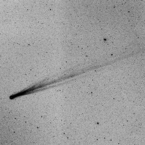 アイソン彗星（１１月１６日未明、反転画像）