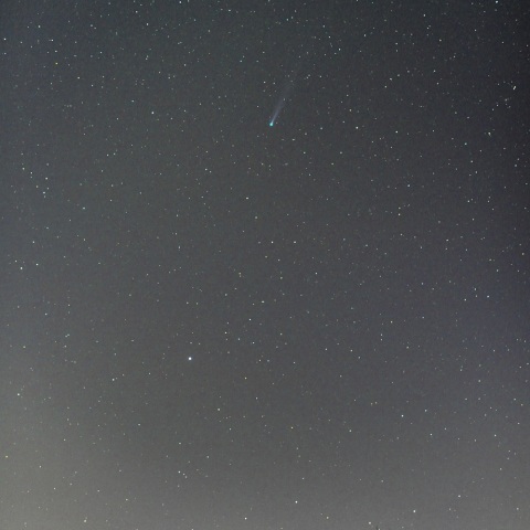 アイソン彗星とスピカ（１１月１６日未明）