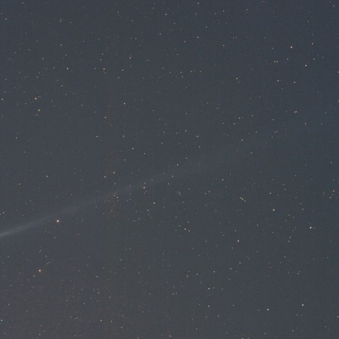 アイソン彗星（１１月１７日未明）