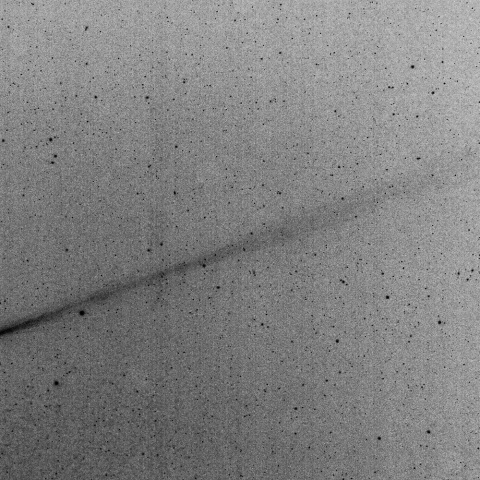 アイソン彗星（１１月１７日未明反転画像）